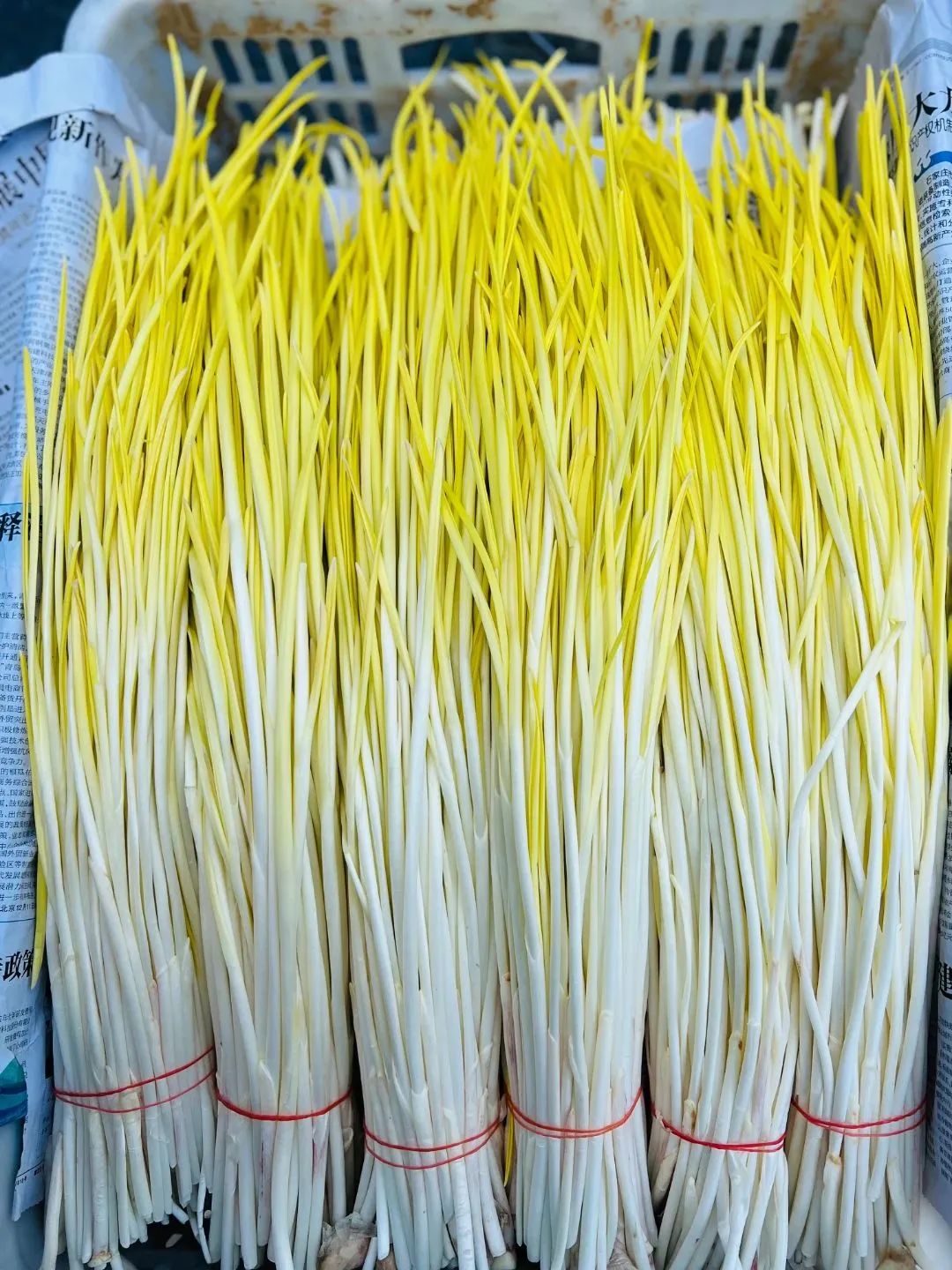 1679035229241539.jpg 微信圖片_20230317144116.jpg